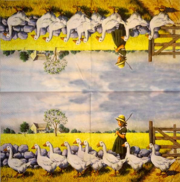 139 Enten - 3-lagig